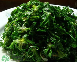 薺菜焯水后冷凍好嗎？薺菜焯水后能放多久？