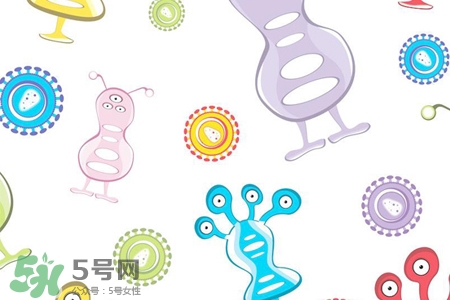 諾如病毒會(huì)發(fā)燒嗎？諾如病毒會(huì)引發(fā)高燒嗎？