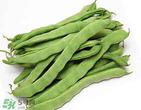 三月份可以種豆角嗎？豆角幾月份種？