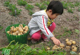 三月份可以種土豆嗎？土豆幾月份種植？