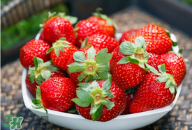 四月份還有草莓嗎？4月份還有草莓嗎？