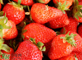 四月份還有草莓嗎？4月份還有草莓嗎？