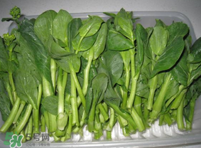 青菜苔可以吃嗎？青菜苔怎么做好吃？