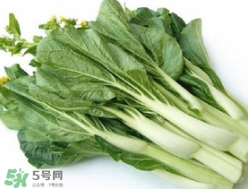 青菜苔可以吃嗎？青菜苔怎么做好吃？