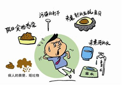 諾如病毒感染要隔離嗎？諾如病毒會傳染嗎？