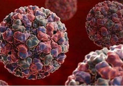 諾如病毒是什么？什么是諾如病毒感染？