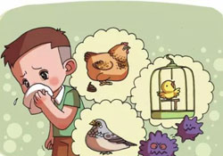 諾如病毒是禽流感嗎？春季重點預(yù)防禽流感和諾如病毒