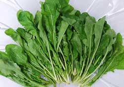 薺菜能和青菜一起吃嗎？薺菜和青菜一起吃好嗎？