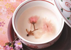 桃花酒孕婦可以喝嗎？懷孕了能喝桃花酒嗎？