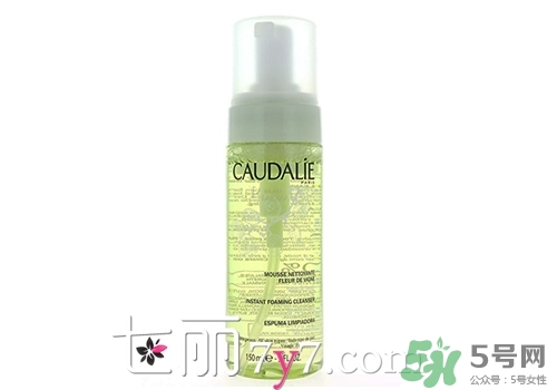 2017潔面泡沫哪個牌子好？2017潔面泡沫排行榜