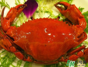 薺菜和螃蟹能一起吃嗎？薺菜螃蟹可以一起吃嗎？