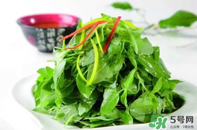 薺菜不能和什么一起吃？薺菜和什么相克？