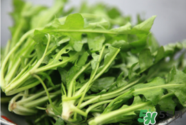 薺菜不能和什么一起吃？薺菜和什么相克？