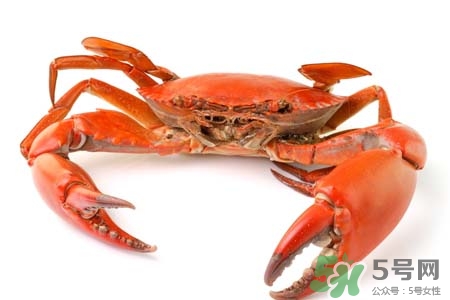 一年四季都能吃螃蟹嗎？一年四季都有吃螃蟹嗎？