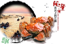 一年四季都有大閘蟹嗎？一年四季都可以吃大閘蟹嗎？