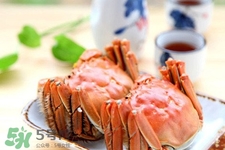 一年四季都有大閘蟹嗎？一年四季都可以吃大閘蟹嗎？