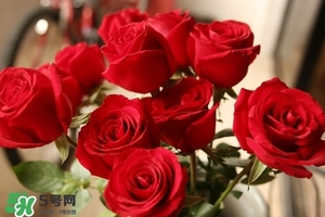 什么東西清火效果好？什么東西清火最快？