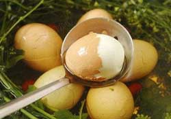 薺菜煮雞蛋孕婦能吃嗎？孕婦吃了薺菜煮雞蛋怎么辦？