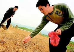 三月份可以種花生嗎？花生幾月份播種比較好？
