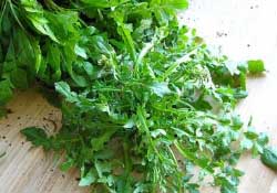 薺菜不能和什么一起吃？薺菜和什么相克？