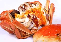 薺菜和螃蟹能一起吃嗎？薺菜螃蟹可以一起吃嗎？