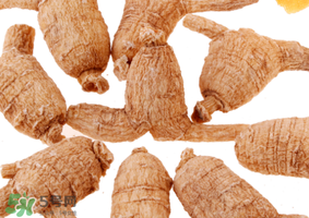 春天可以吃西洋參嗎？春天適合吃西洋參嗎？