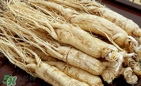 春天可以吃人參嗎？春季能進補人參嗎？