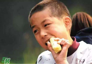 春天能吃甘蔗嗎？春天吃甘蔗有什么好處？