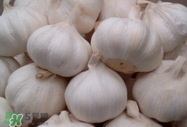 大蒜爛了一點還能吃嗎？大蒜爛根是怎么回事？