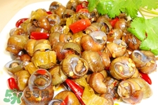 月經(jīng)可以吃螺螄嗎？生理期能吃螺螄嗎？