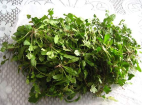 野生薺菜幾月份有？野生薺菜什么時候有？