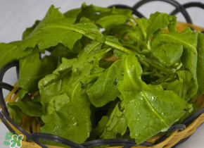 薺菜隔夜能吃嗎？隔夜的薺菜能吃嗎？