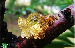 吃什么對皮膚好？怎么吃皮膚好？