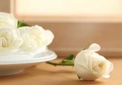 白色情人節(jié)送什么花？白色情人節(jié)送白玫瑰合適嗎？