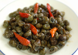 螺螄與田螺一樣嗎？螺螄與田螺的區(qū)別