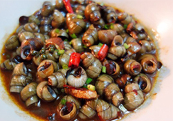 螺螄可以放冰箱保存嗎？新鮮螺螄能放冰箱嗎？