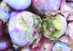 洋蔥心爛了能吃嗎？洋蔥中間爛了可以吃嗎？