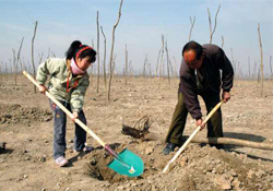 植樹節(jié)種樹要注意什么？植樹要注意哪些細(xì)節(jié)？