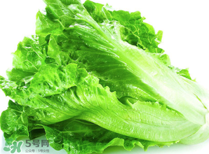 春天能種生菜嗎？生菜春天可以種嗎？