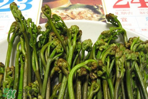 蕨菜為什么苦？蕨菜苦是怎么回事？