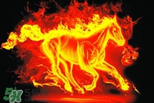 寒食節(jié)可以用火嗎？寒食節(jié)可以燒火嗎？