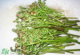 蕨菜怎么去苦味？蕨菜怎么做不苦？