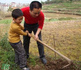 春天可以種哪些果樹？春天適合種哪些果樹？