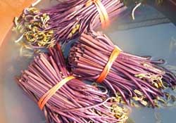 蕨菜不能和什么一起吃？蕨菜和什么不能一起吃？