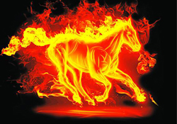 寒食節(jié)可以用火嗎？寒食節(jié)可以燒火嗎？