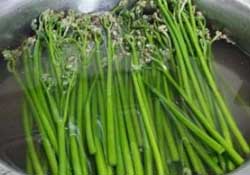 蕨菜怎么洗？蕨菜怎么清洗才干凈？