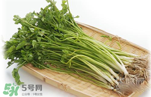吃野芹菜會(huì)中毒嗎？吃野芹菜中毒了怎么辦？
