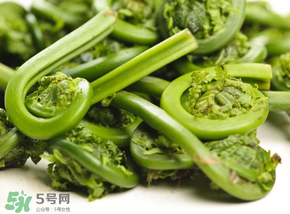 蕨菜怎么洗？蕨菜怎么清洗才干凈？