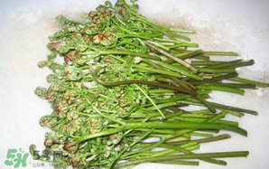蕨菜怎么保存？蕨菜怎么保鮮？
