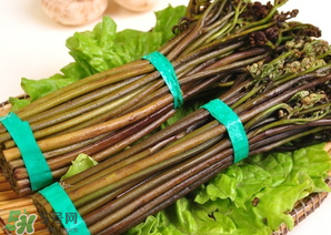 蕨菜怎么保存？蕨菜怎么保鮮？